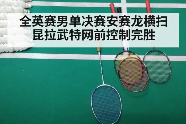 badminton final match